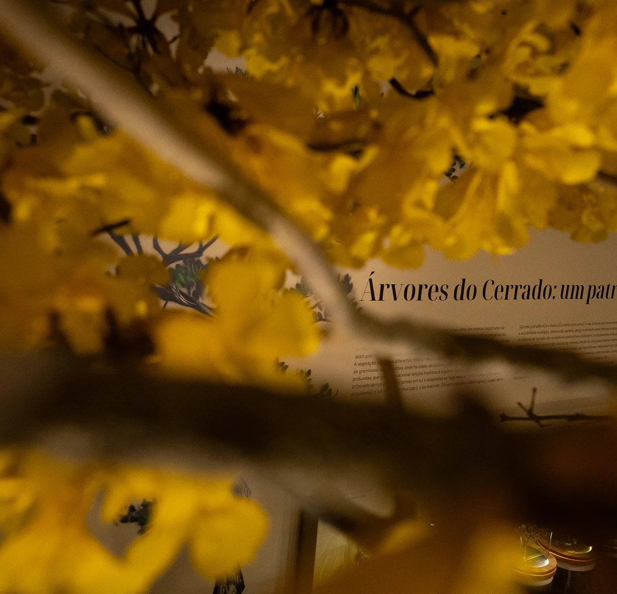 Foto 2 do Itame